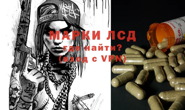 бошки Щигры