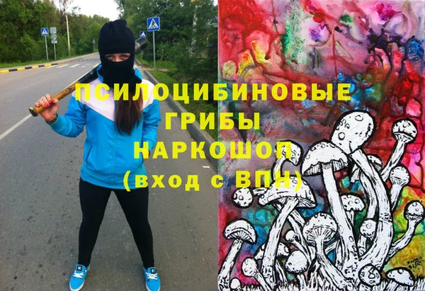 бошки Щигры