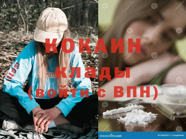 бошки Щигры