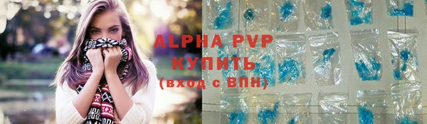бошки Щигры