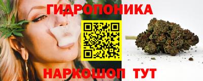 сатива Аргун