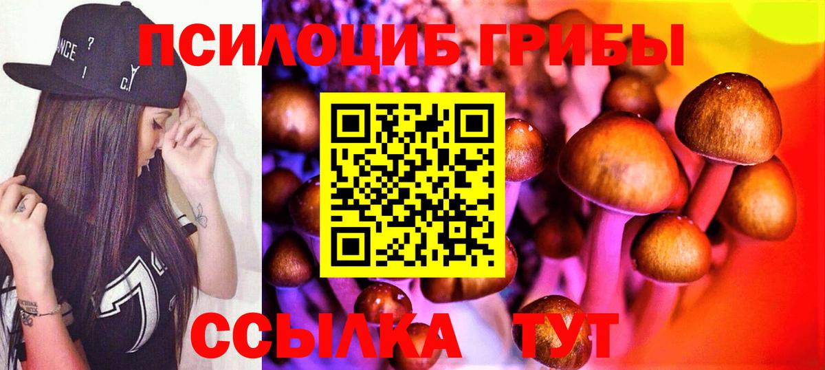 Псилоцибиновые грибы Psilocybine cubensis Нурлат