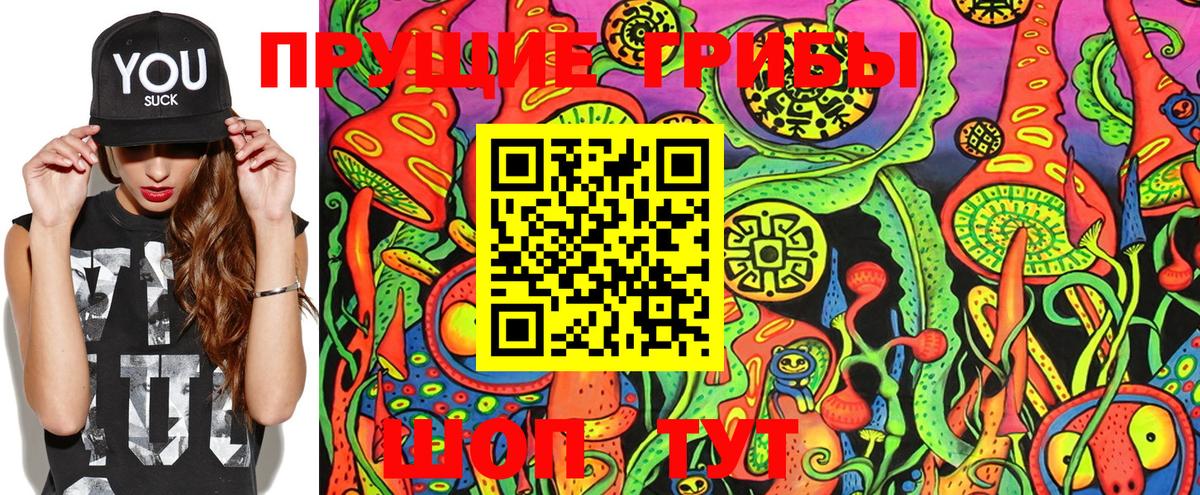 Галлюциногенные грибы прущие грибы  Нурлат 